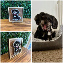 Load image into Gallery viewer, Pet Portraits