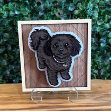 Load image into Gallery viewer, Pet Portraits